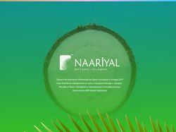 Разработка сайта и бренда для компании Naariyal