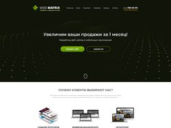 LP Web Matrix - разработка и продвижение сайтов
