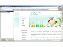 Shablon browser v.1.1
