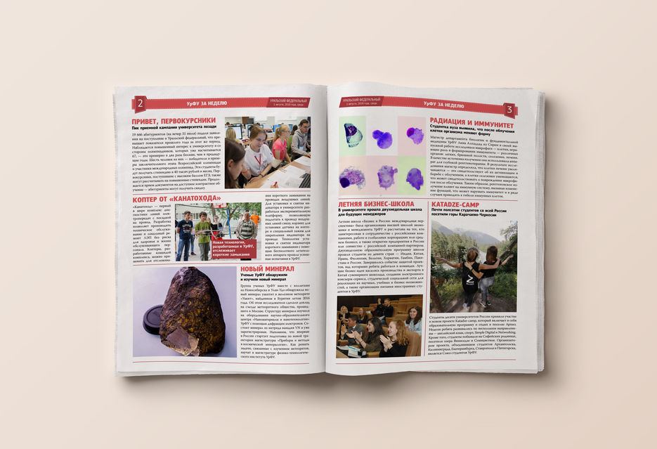 Daily-News-Inner-Pages-Mockup.jpg