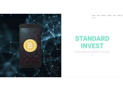 Создание сайта "под ключ" StandardInvest