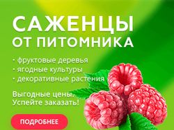 Продвижение товаров