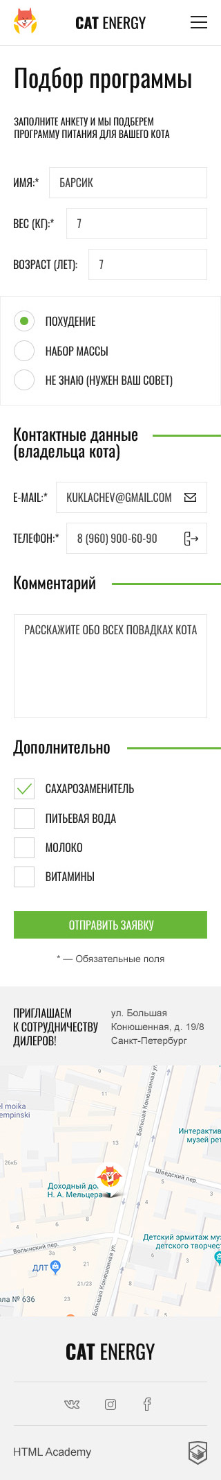 cat-energy-form-mobile.jpg