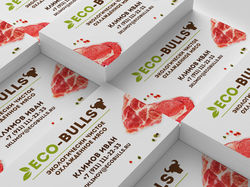 Визитка Eco-Bulls