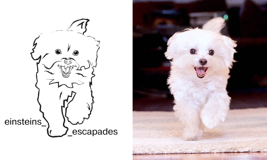 dog_ЕЕwhite.jpg