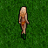 pers_01_anim_04.gif