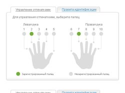 Окна взаимодействия пользователя с системой
