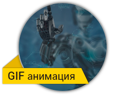 Gat Fin Forex