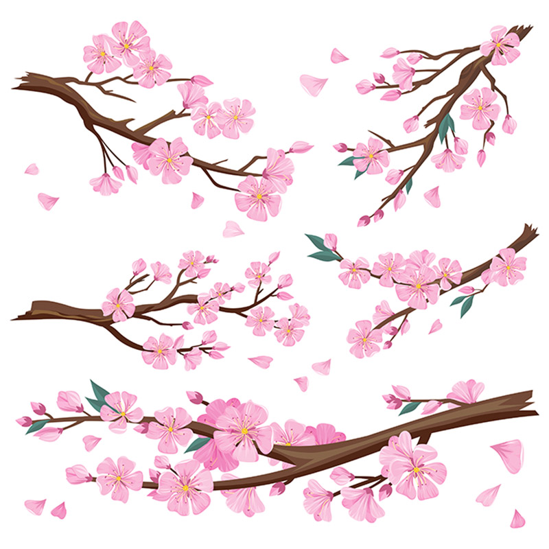 cherry-blossom.jpg