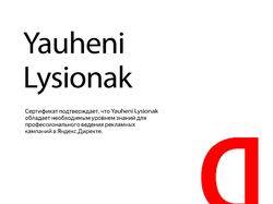 Яндекс.Директ + РСЯ