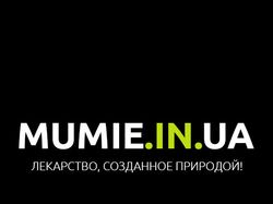 Статистика продвижения сайта mumie.in.ua