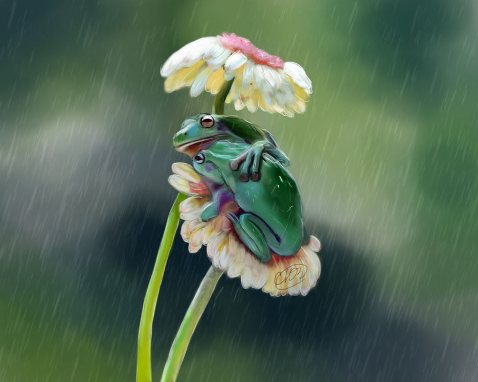 FROGS.jpg
