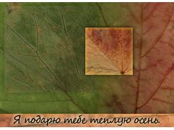 Тёплая осень