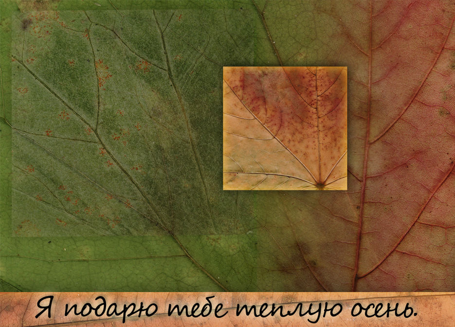 Тёплая осень.jpg