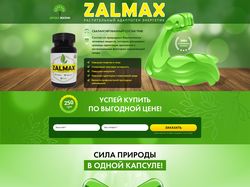 Landin Page ZALMAX