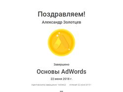 Сертификат основы Google AdWords