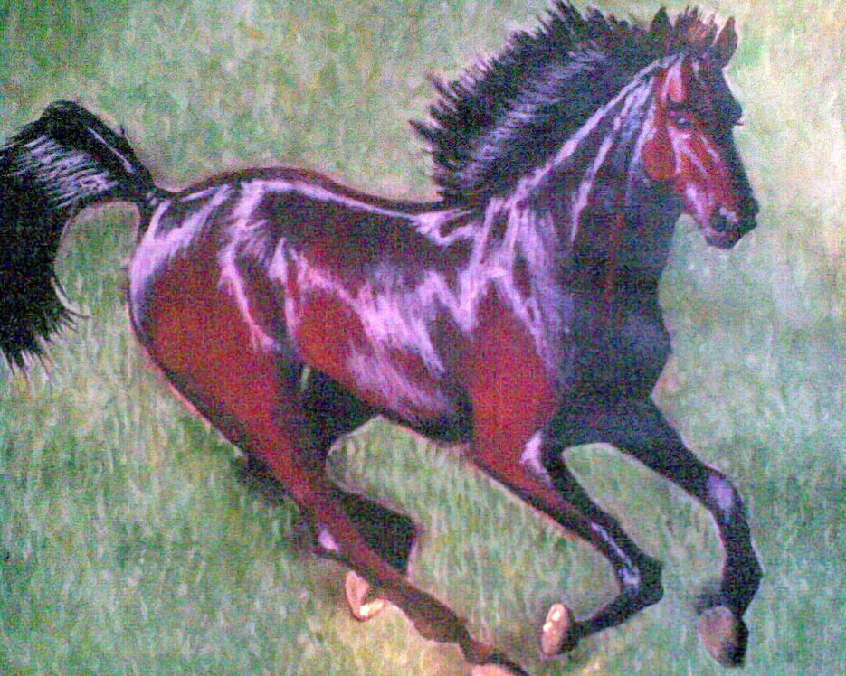 Конь (акварель).jpg