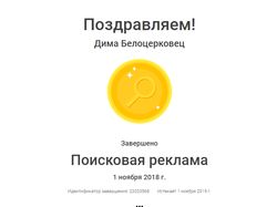 Сертификат Google - Поисковая реклама