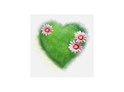 LOVE кактус