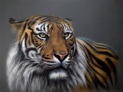 Рисование маслом. Тигр.