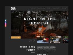 Night in the Forest