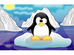 Illustrator
