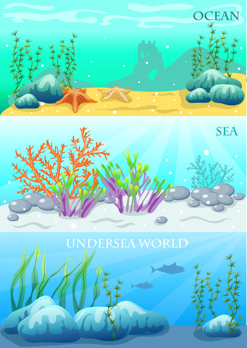 ocean.jpg