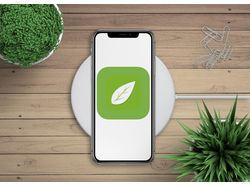 Мобильное приложение ios Акуловка