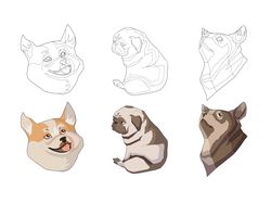 Иллюстрации собак в векторе