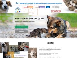 Сайт оказания помощи бездомным животным