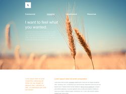 Organica - корпоративный сайт компании