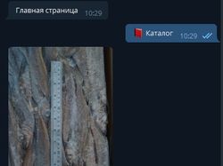 Чат-бот ТД "Кайрос" | Telegram, ВКонтакте
