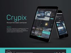 Web-design "Crypix"
