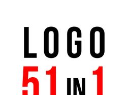 Logo 51 in 1