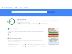 Стол Находки: замер скорости на Google PageSpeed