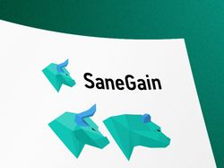 Логотип "SaneGain" мониторинг хайп проектов