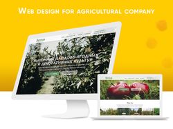 Дизайн сайта для сельскохозяйственной компании