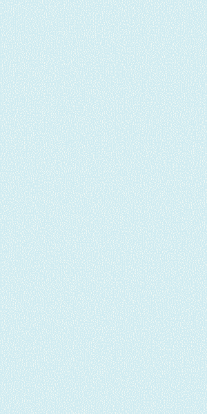 300_600.gif