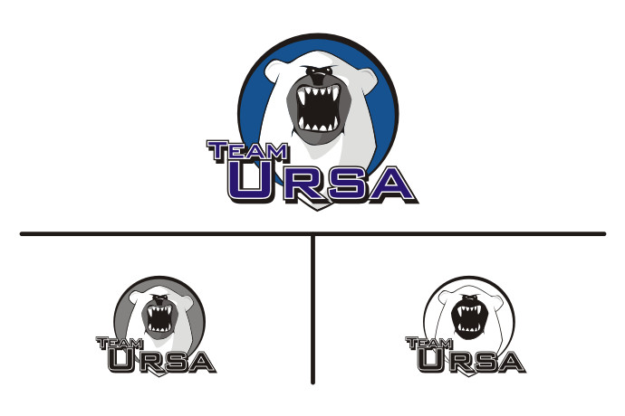 Team Ursa.jpg