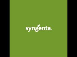 Инфографика для компании Syngenta