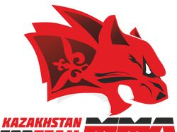 Сайт для федерации MMA Kazakhstan