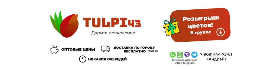ШапкаФинал2-01.png
