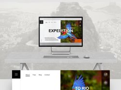 Дизайн первого экрана "Expedition to Rio"