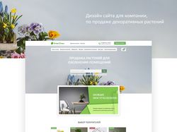 Дизайн сайта по продаже декоративных растений