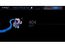 404