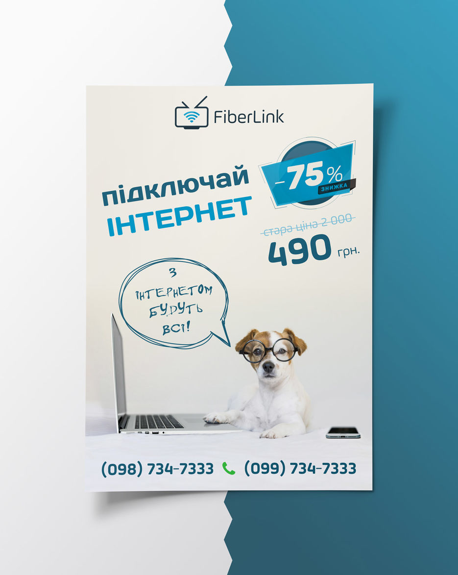 FiberPostre7.jpg