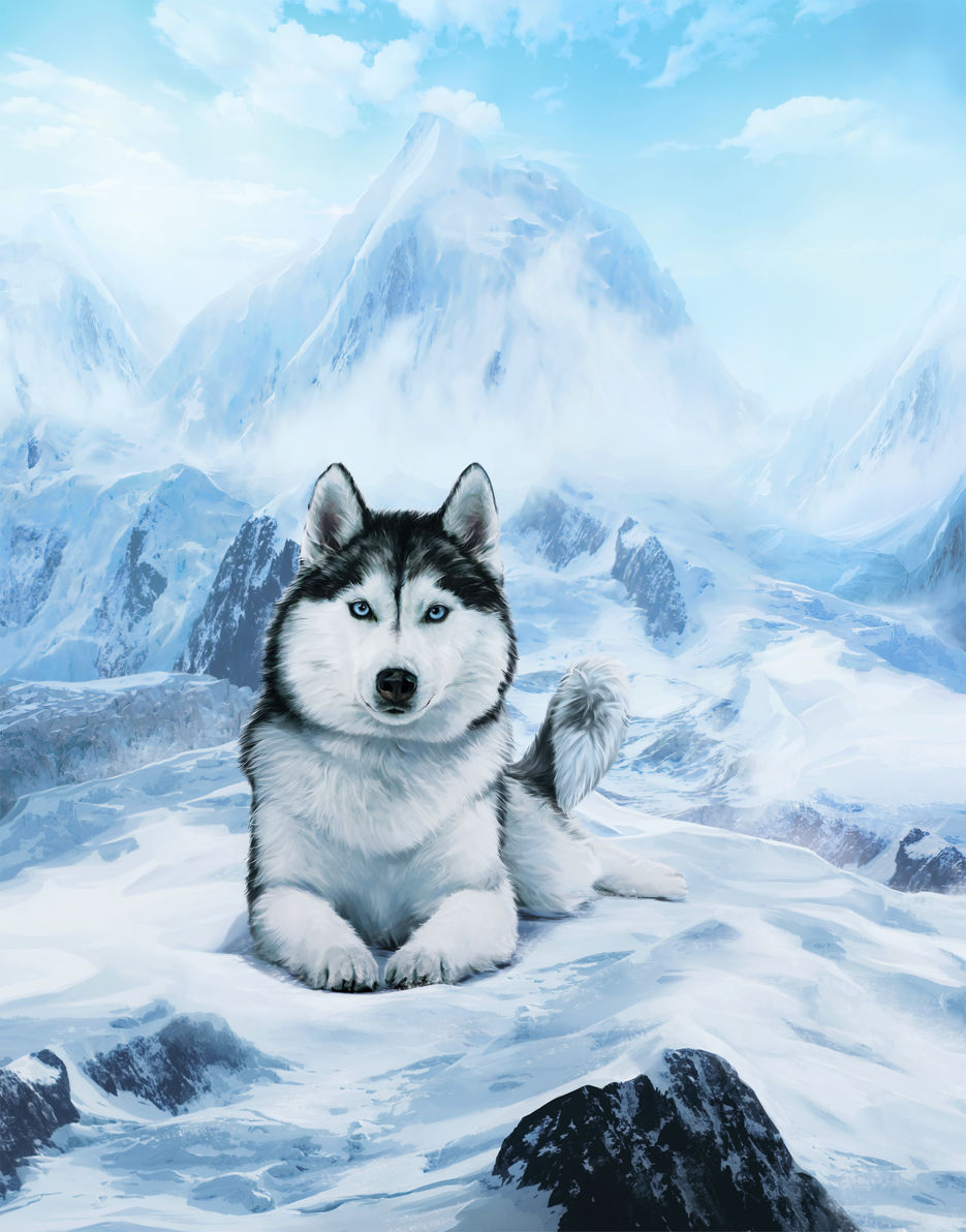husky_m_RGB_2.jpg