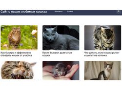 Информационный портал про кошек