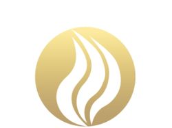 Логотип Flameplace