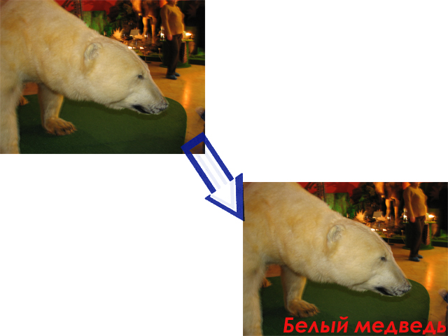 Надпись на фотографии.jpg
